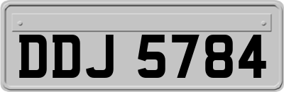 DDJ5784