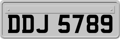 DDJ5789