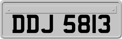 DDJ5813