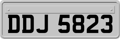 DDJ5823