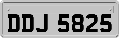 DDJ5825