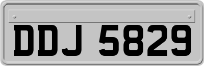 DDJ5829