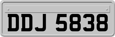 DDJ5838