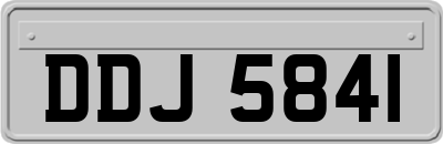 DDJ5841