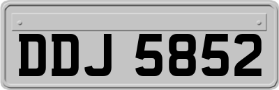 DDJ5852