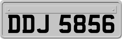 DDJ5856