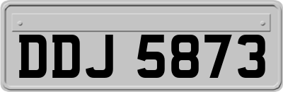 DDJ5873