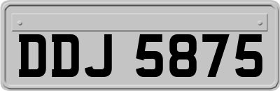 DDJ5875