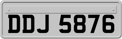 DDJ5876