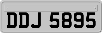 DDJ5895