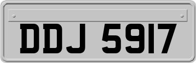 DDJ5917
