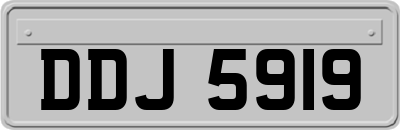 DDJ5919