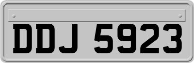 DDJ5923