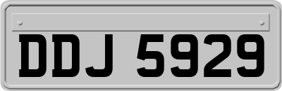 DDJ5929