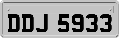 DDJ5933