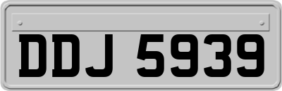 DDJ5939