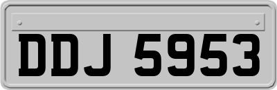 DDJ5953