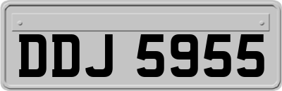 DDJ5955
