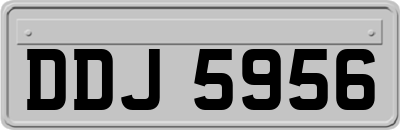 DDJ5956