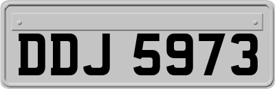 DDJ5973