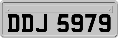 DDJ5979