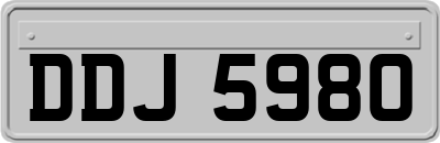 DDJ5980