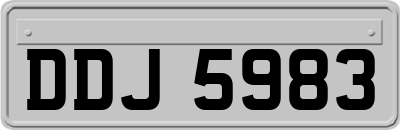 DDJ5983