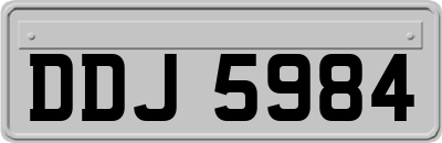 DDJ5984