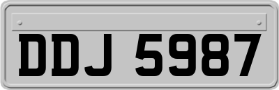 DDJ5987