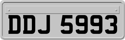 DDJ5993