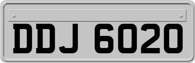 DDJ6020