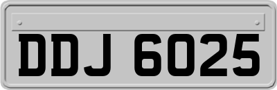DDJ6025