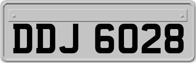 DDJ6028
