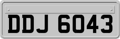 DDJ6043