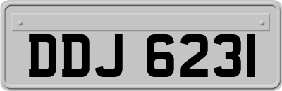 DDJ6231
