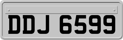 DDJ6599