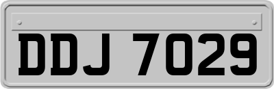 DDJ7029