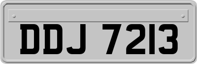 DDJ7213