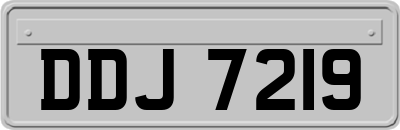 DDJ7219