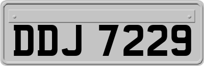 DDJ7229