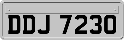 DDJ7230