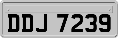 DDJ7239