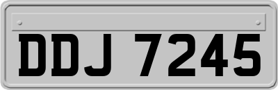 DDJ7245