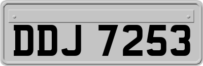 DDJ7253