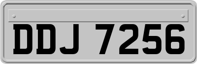 DDJ7256