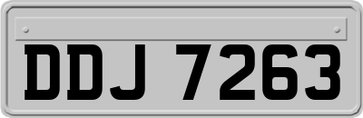 DDJ7263
