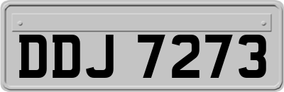 DDJ7273