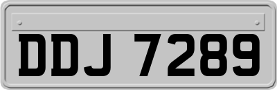 DDJ7289