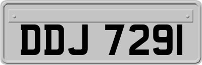 DDJ7291