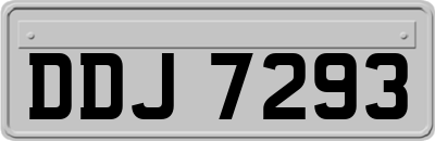 DDJ7293